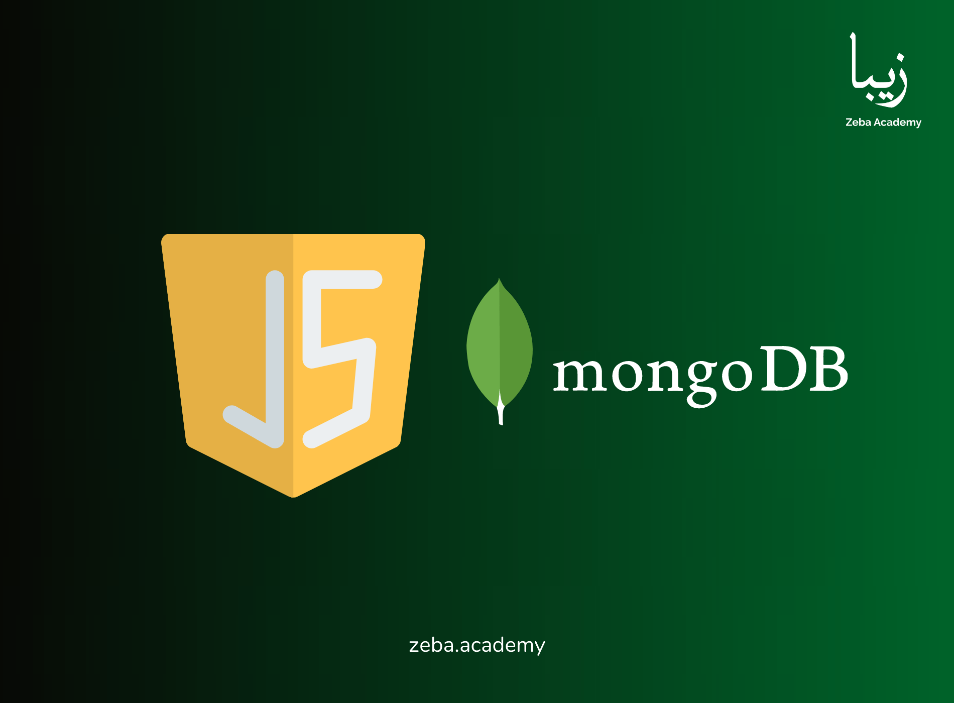 Mastering JavaScript with Vue.js and MongoDB