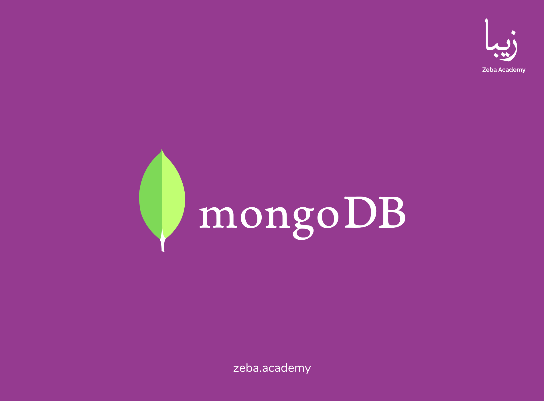 MongoDB — The Developer’s Guide